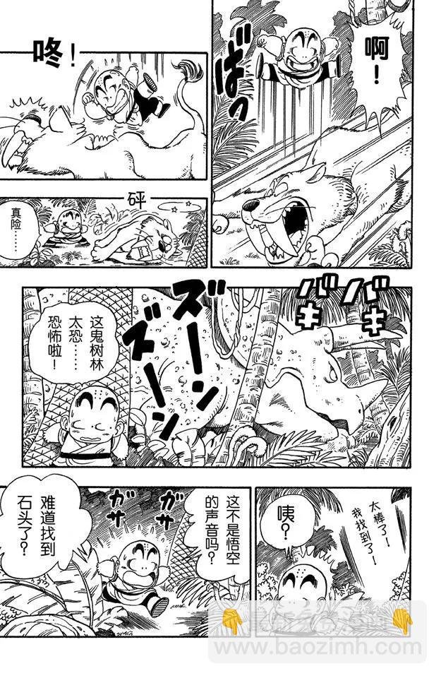 第29话 寻找龟字标记的石头