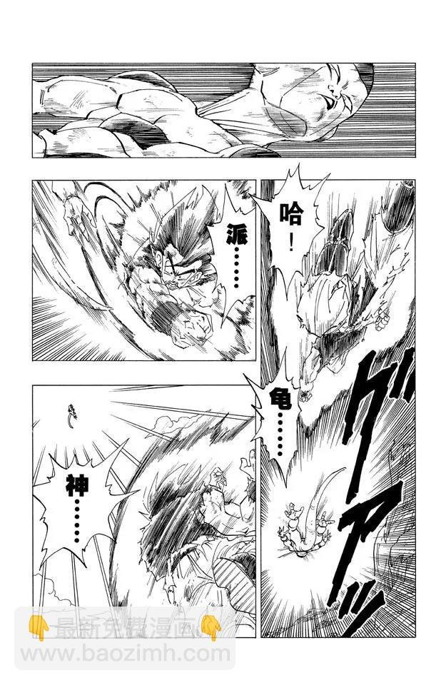 第313话 二十倍界王拳之赌注