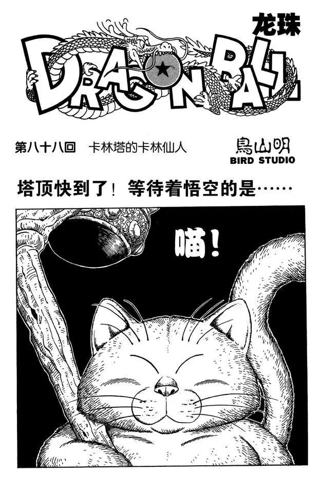 第88话 卡林塔的卡林仙人