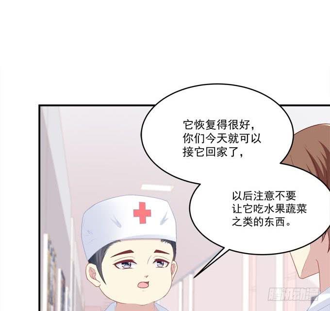 装作看不见
