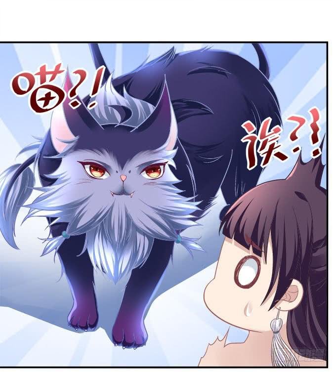 来一决胜负吧