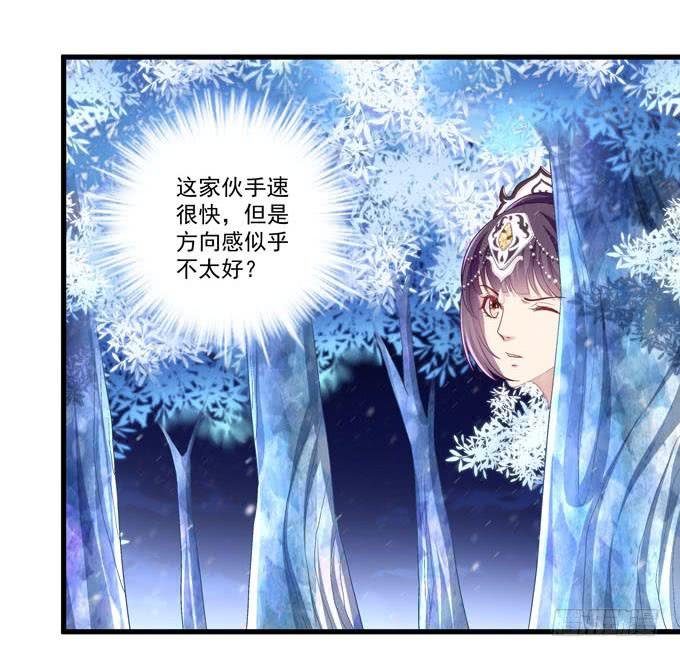大神为我放烟花！