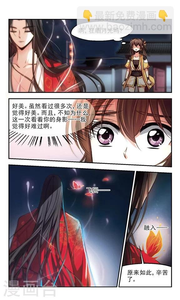 第30话 凤凰泪