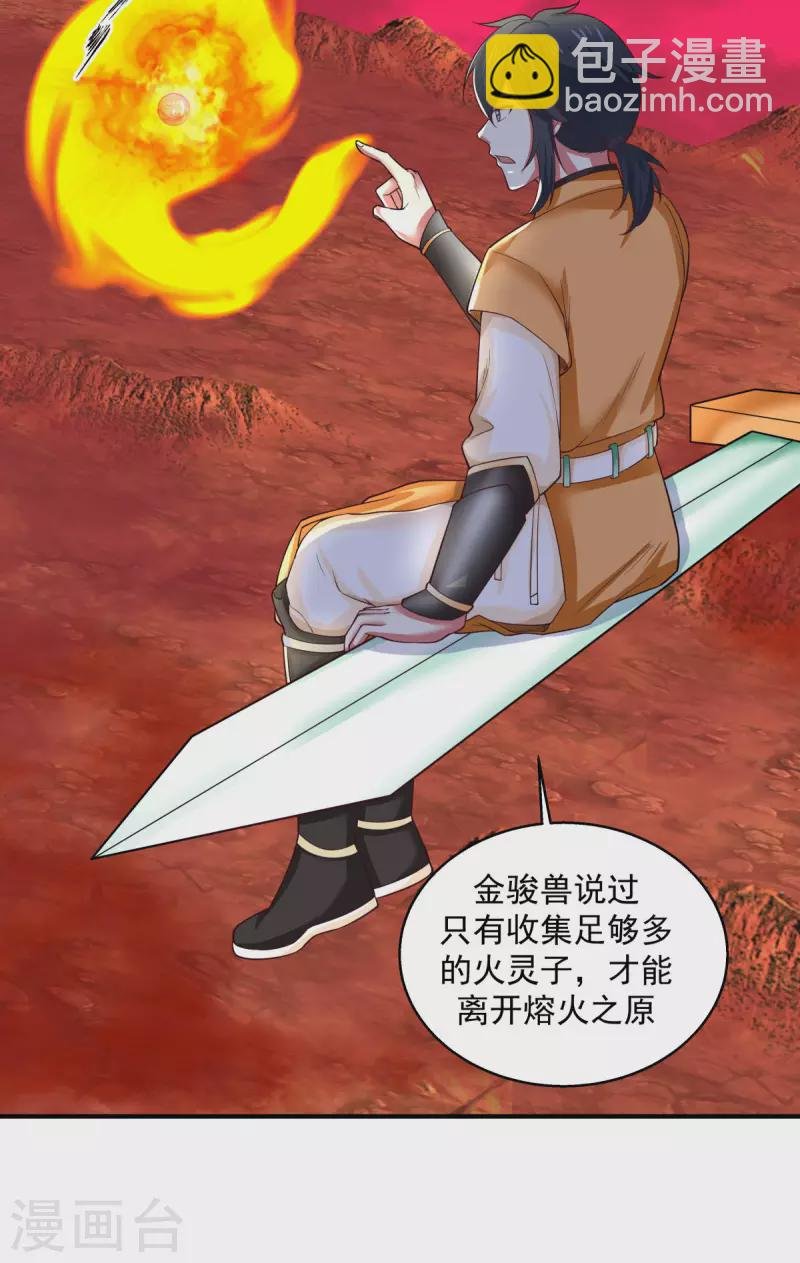 第216话 火灵子