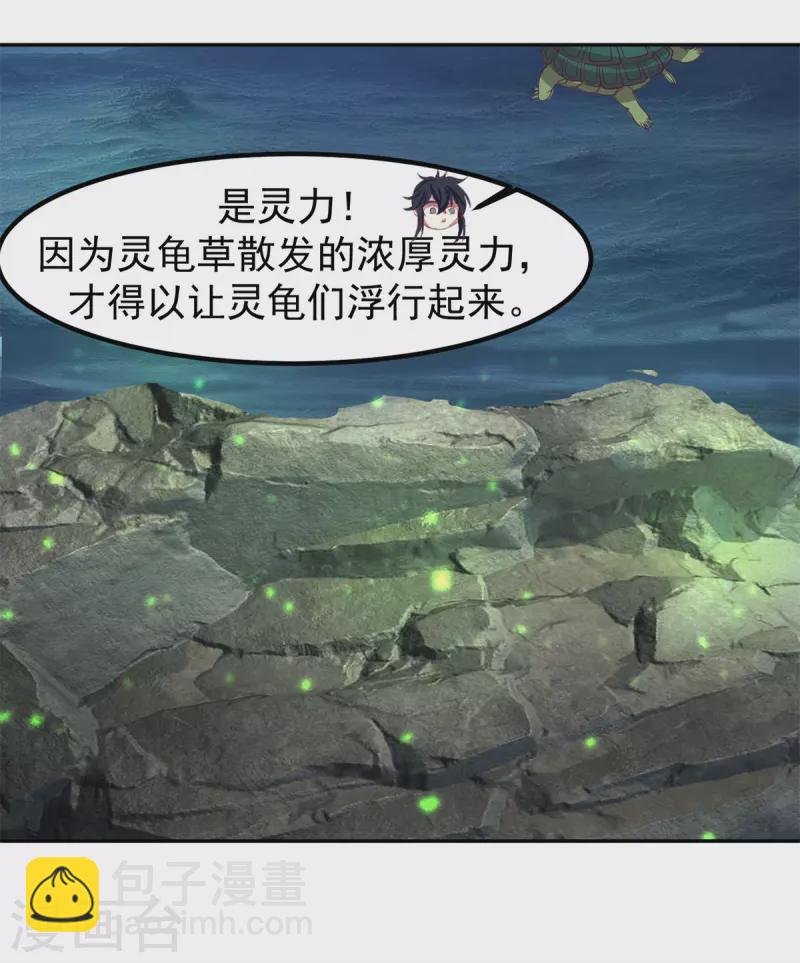第334话 灵龟果