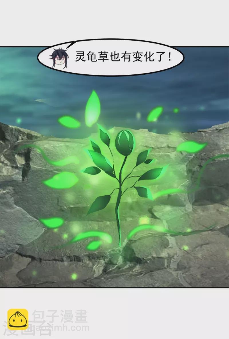 第334话 灵龟果