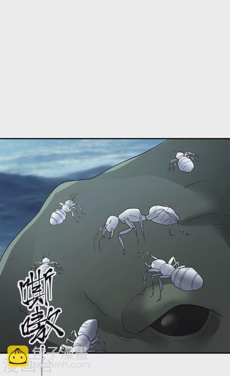 第335话 海蚁