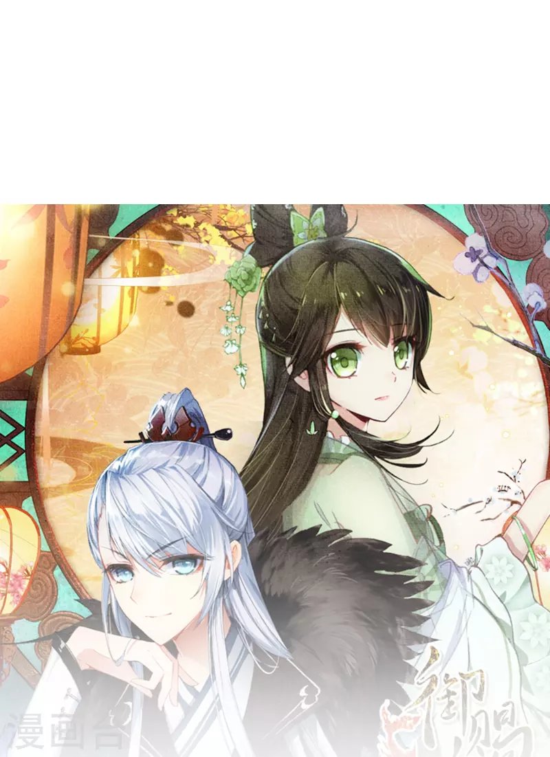 第11话 凭我的智商可能活不过两集