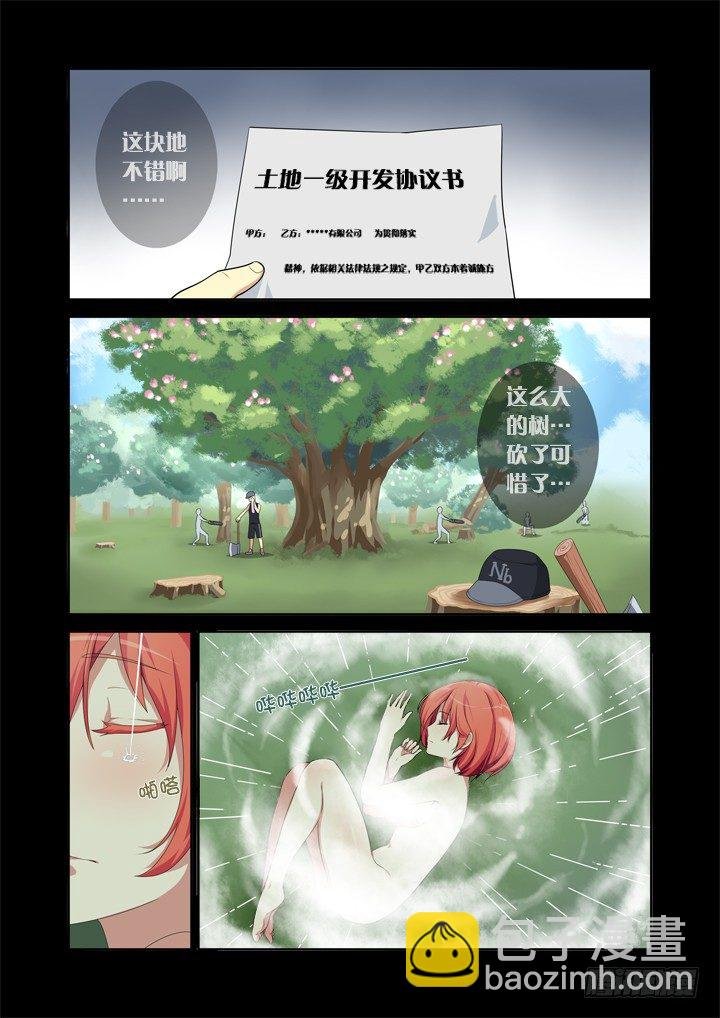 15.合欢林