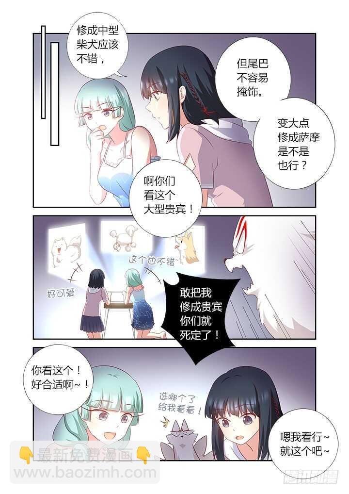 377.洗剪吹