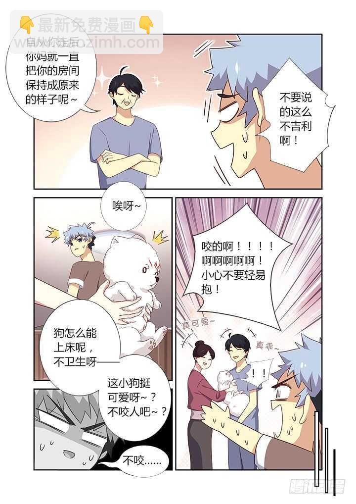 384.怎样养狗
