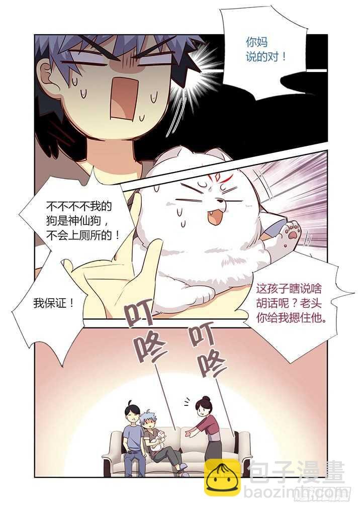 384.怎样养狗