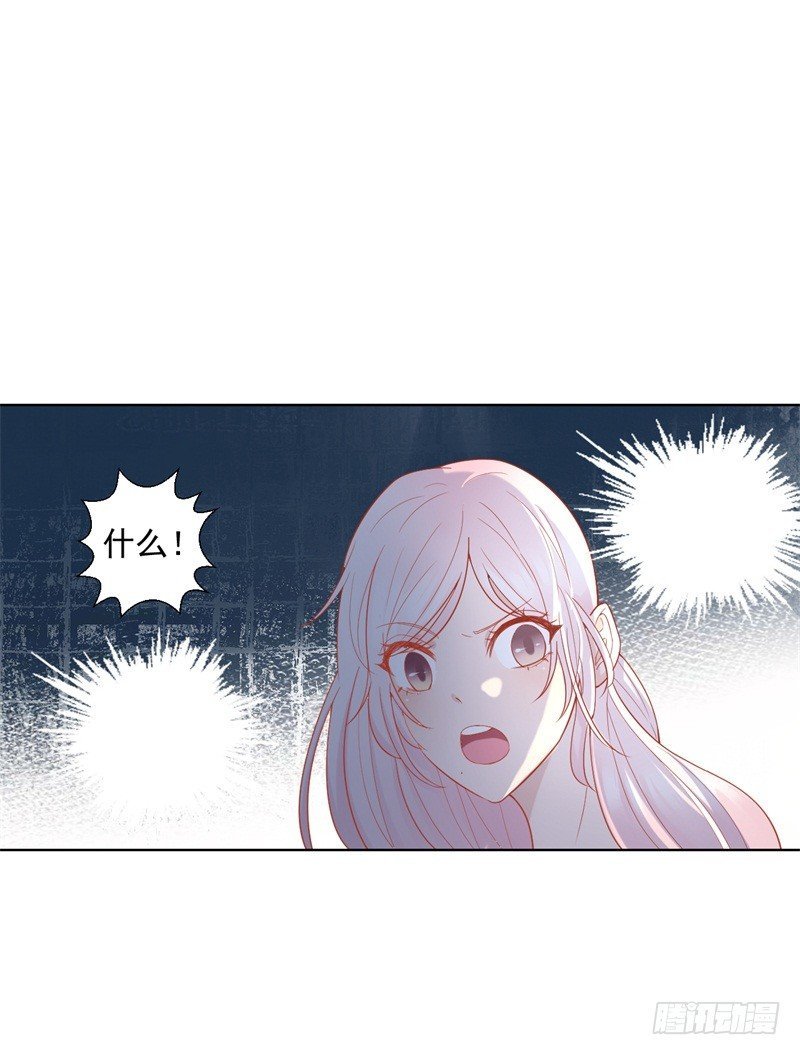 第28话 只有我能当陆太太