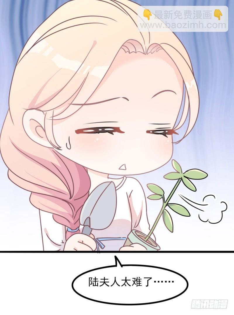 第34话 庭有枇杷树