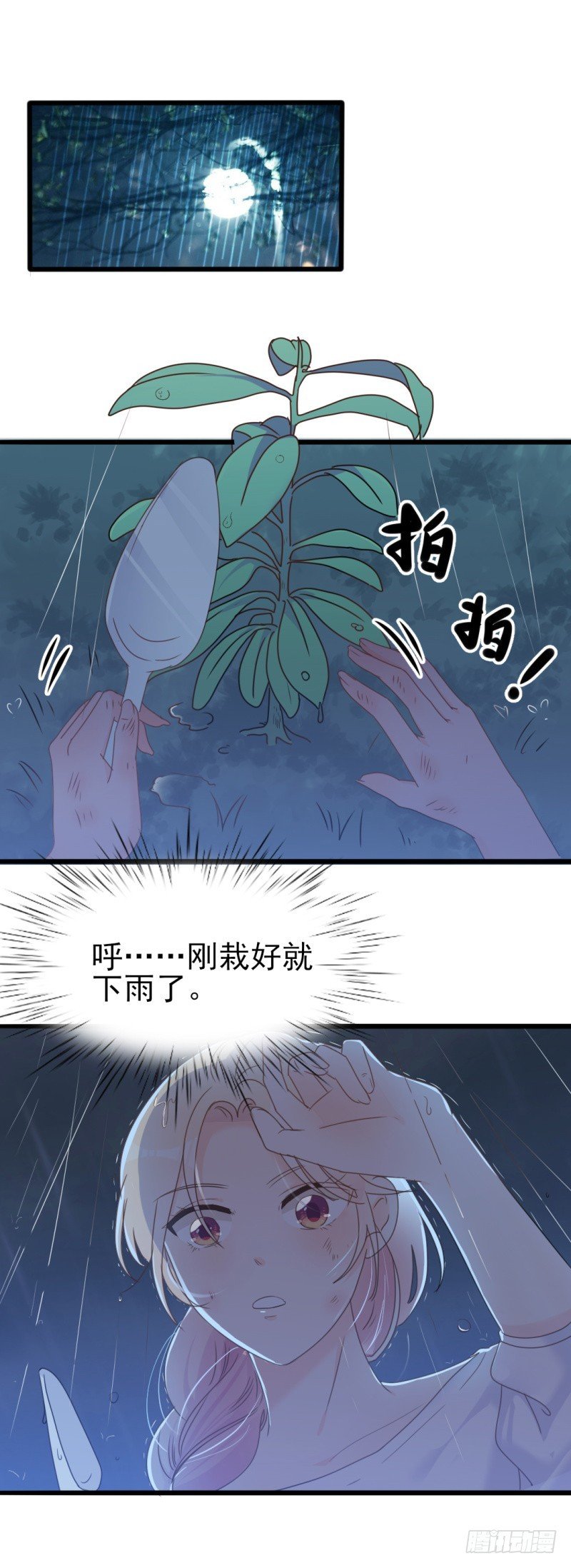 第34话 庭有枇杷树