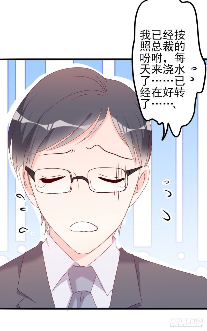 第49话 有你的地方，才是我的家