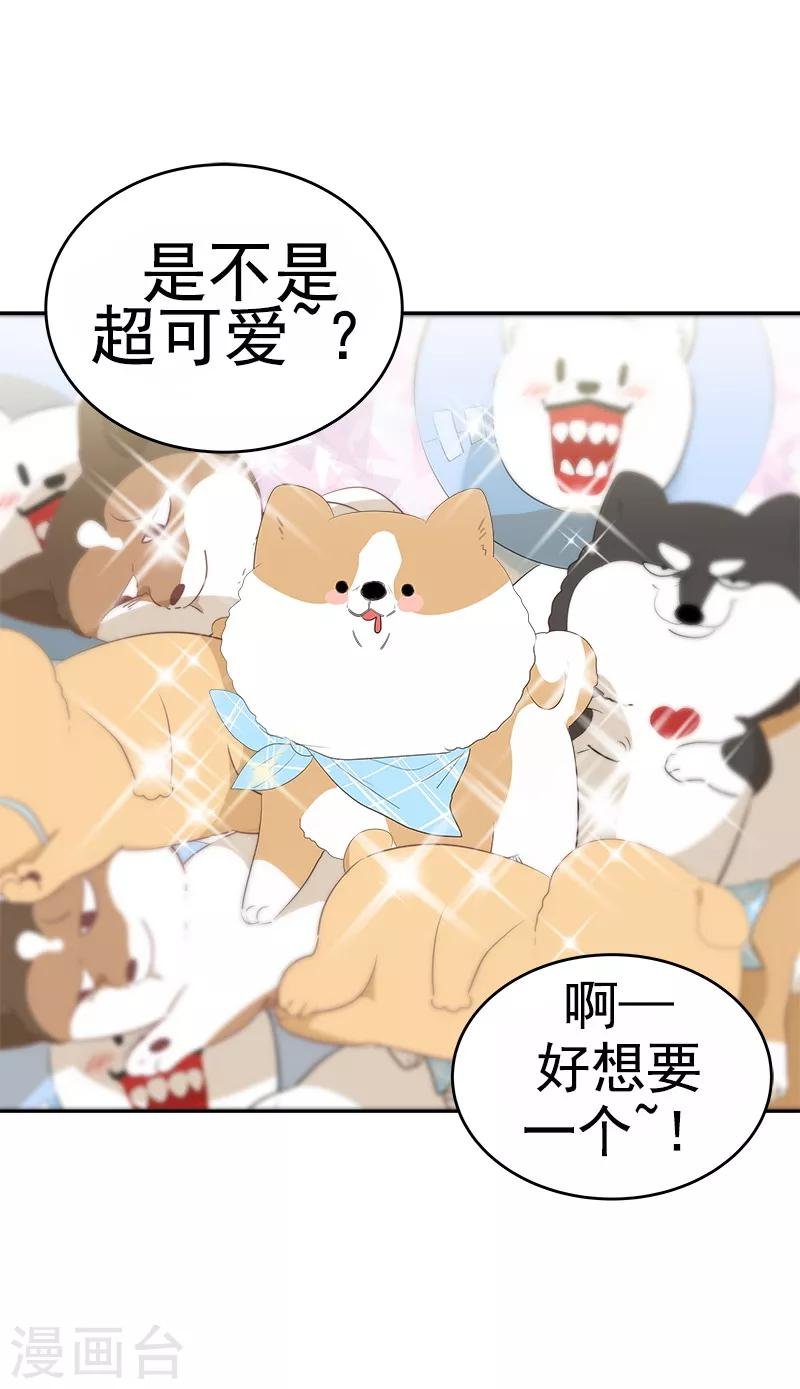 第95话 抓娃娃