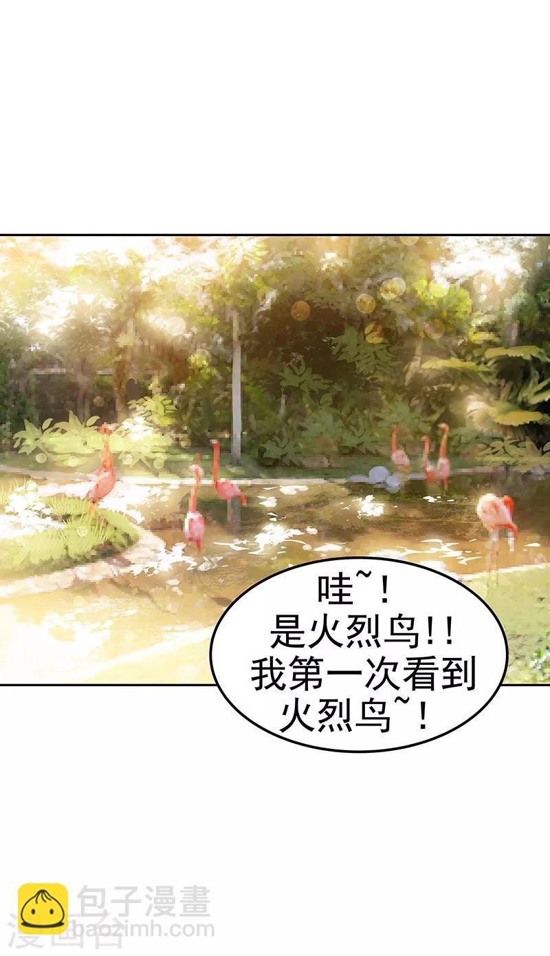 第146话 游逛动物园