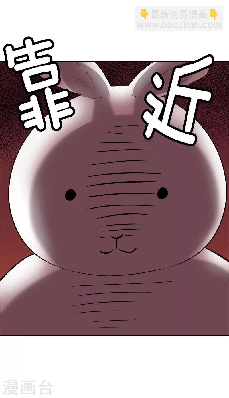 第239话 萌萌的兔子