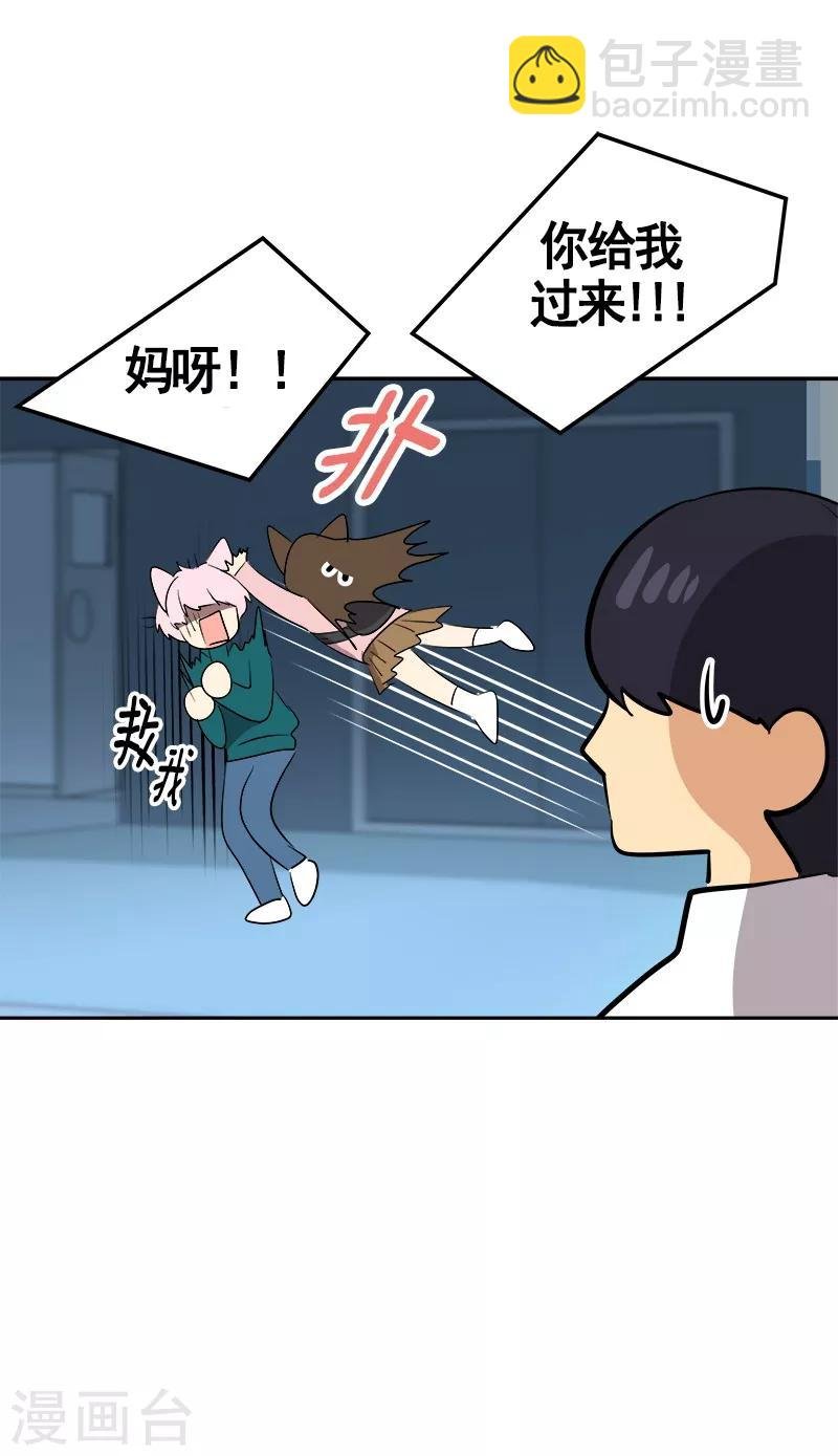第67话 两个逗逼的能量