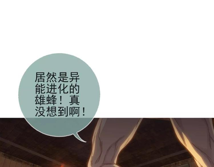 第20话 秒杀