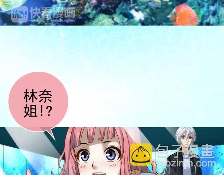 第8话 女王蜂候选人