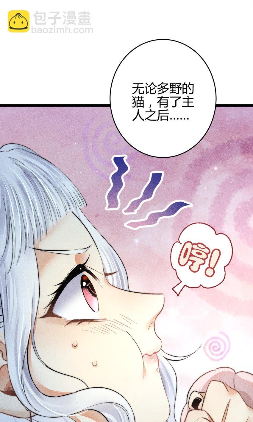 18 2F：野猫无主