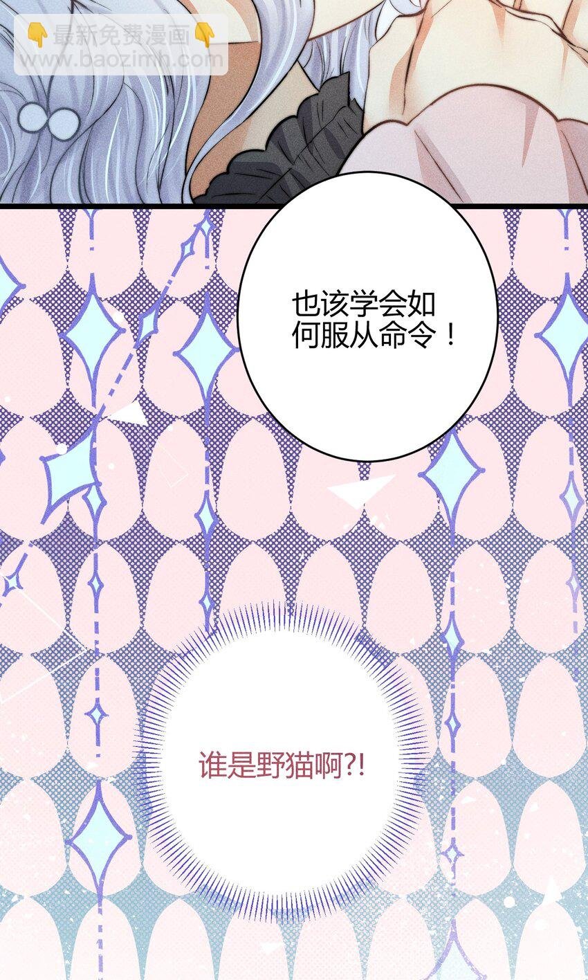 18 2F：野猫无主