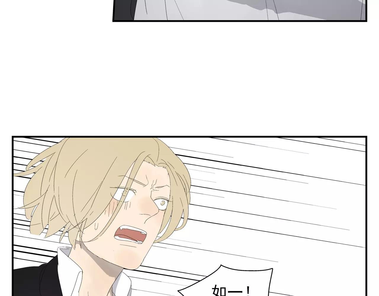 第54话 我是医生