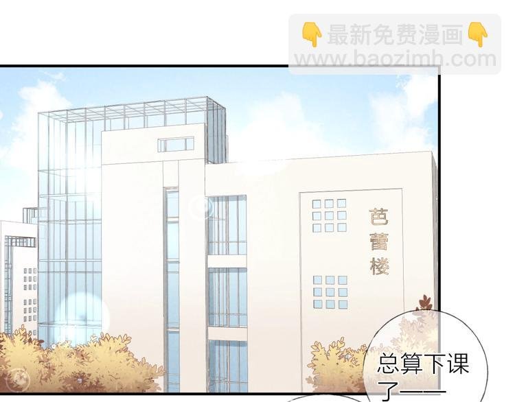 第17话 落叶下的期待