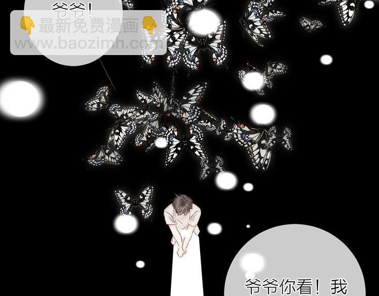 番外二 蝴蝶梦