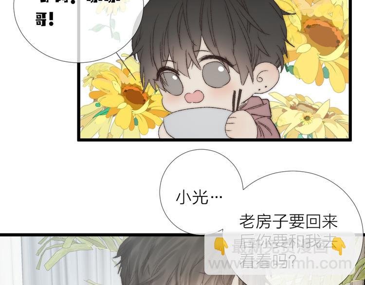 番外二 蝴蝶梦