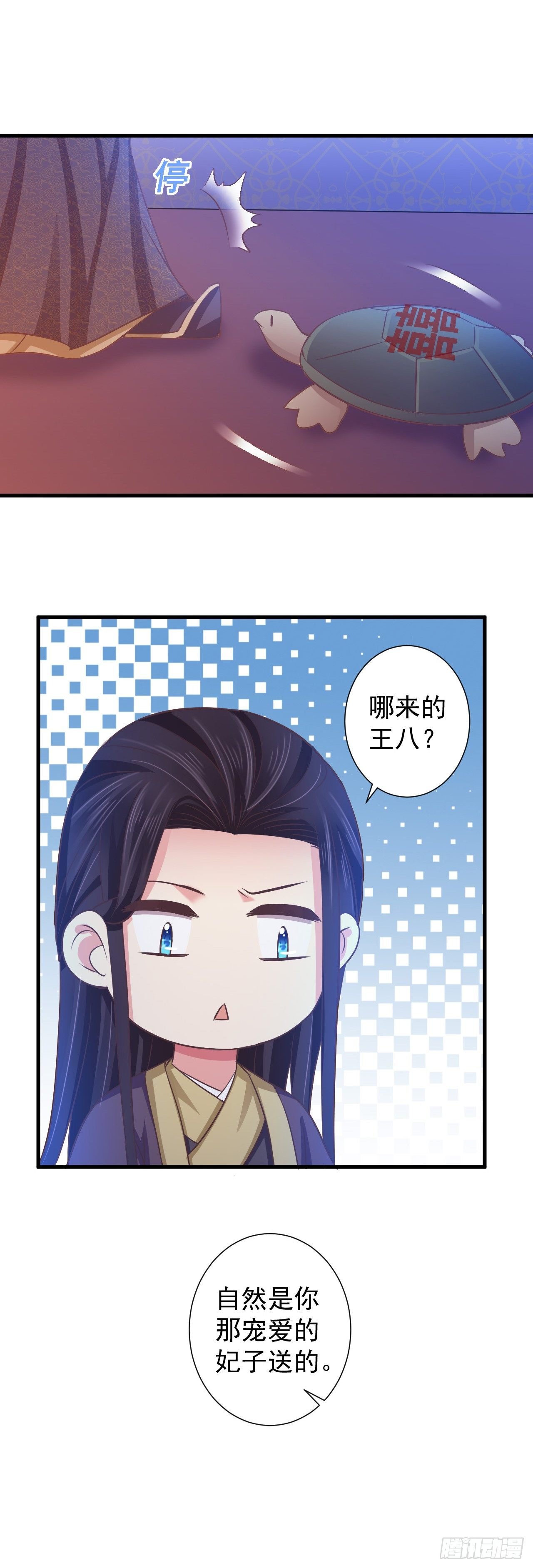 哪里来的王八？