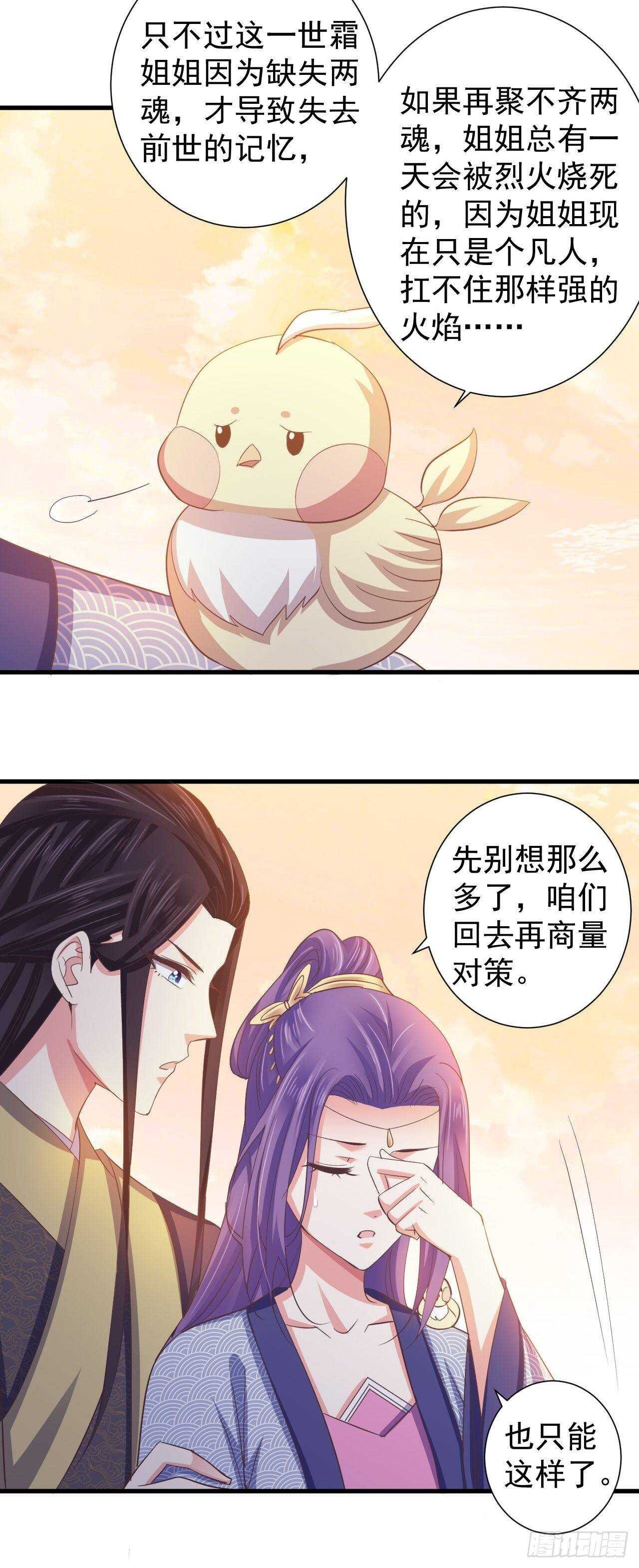 我的前世是火凤（下）