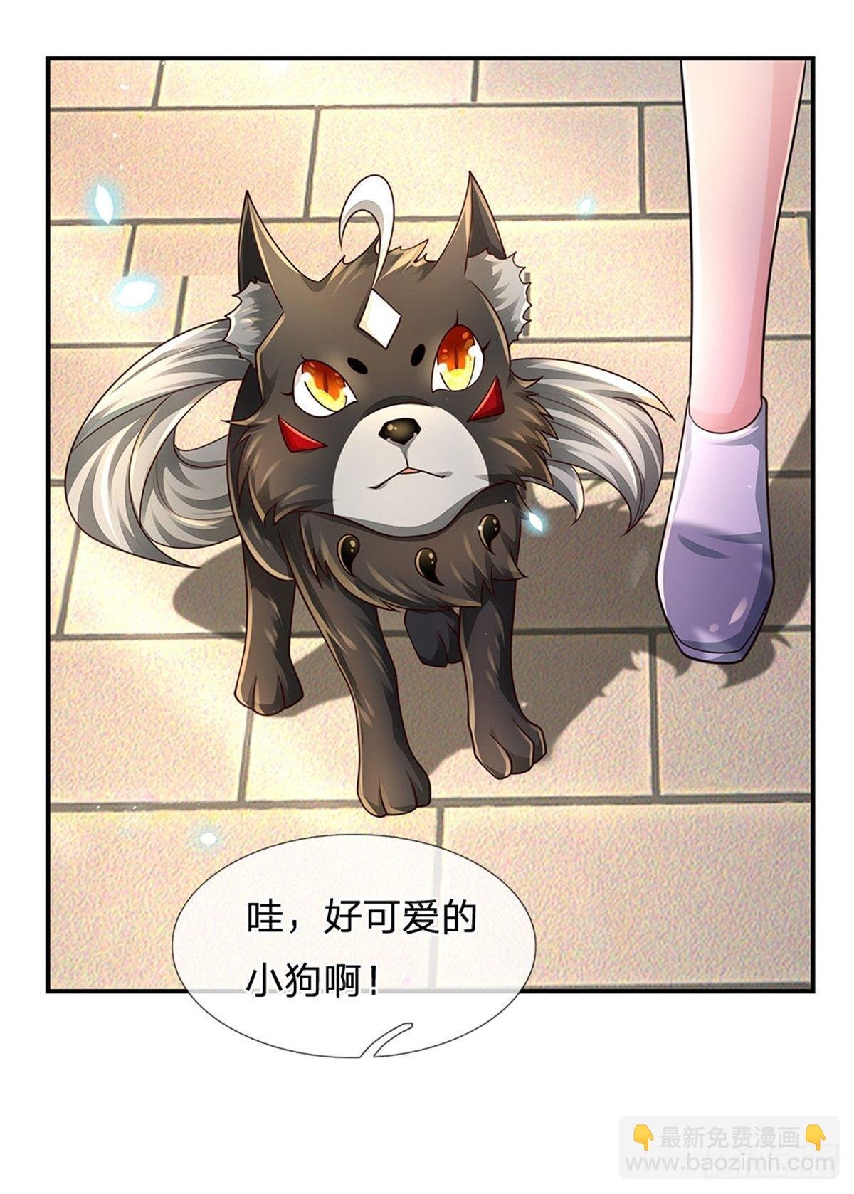 第107话 狗狗这么可爱