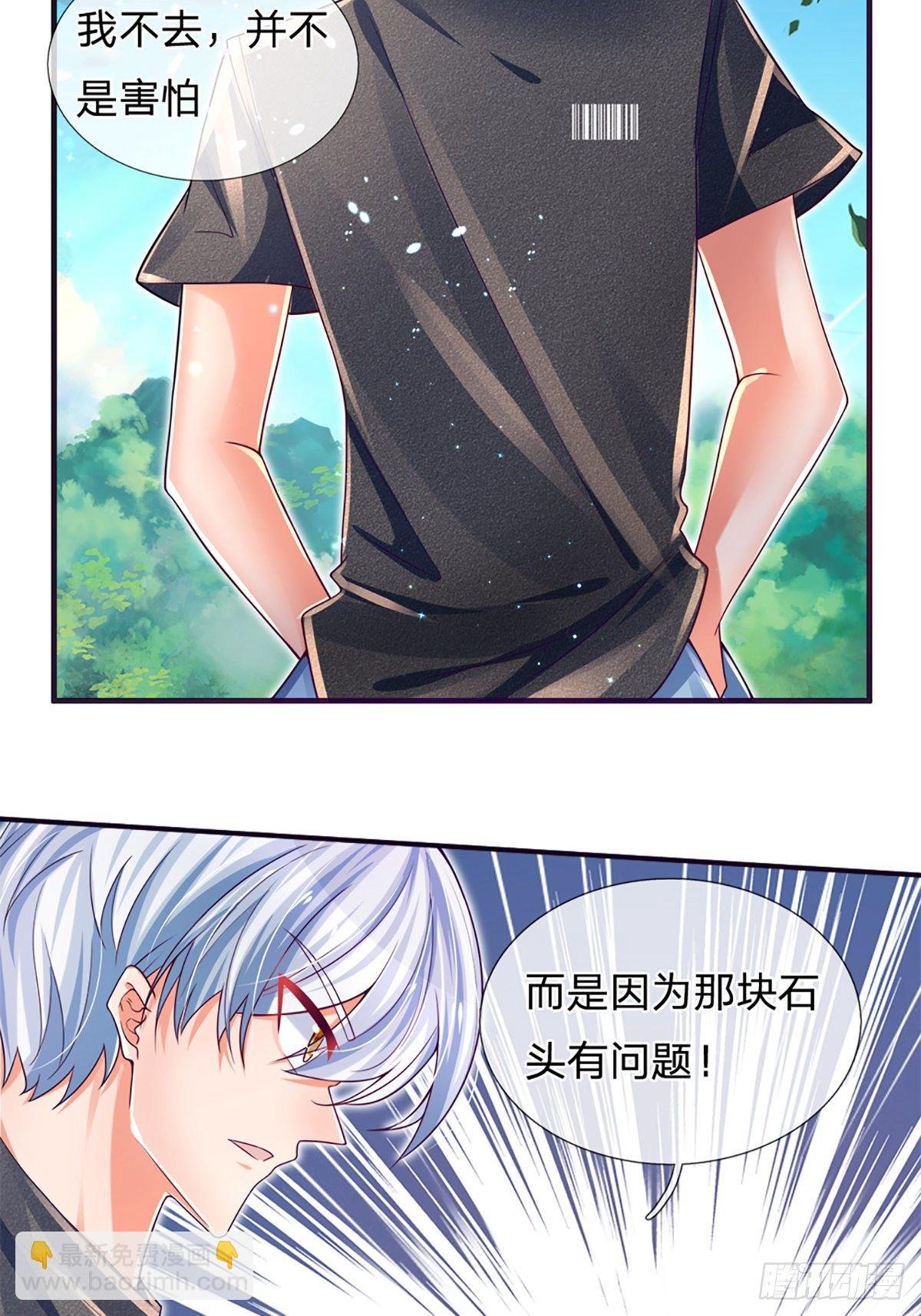 第21话 石头有问题