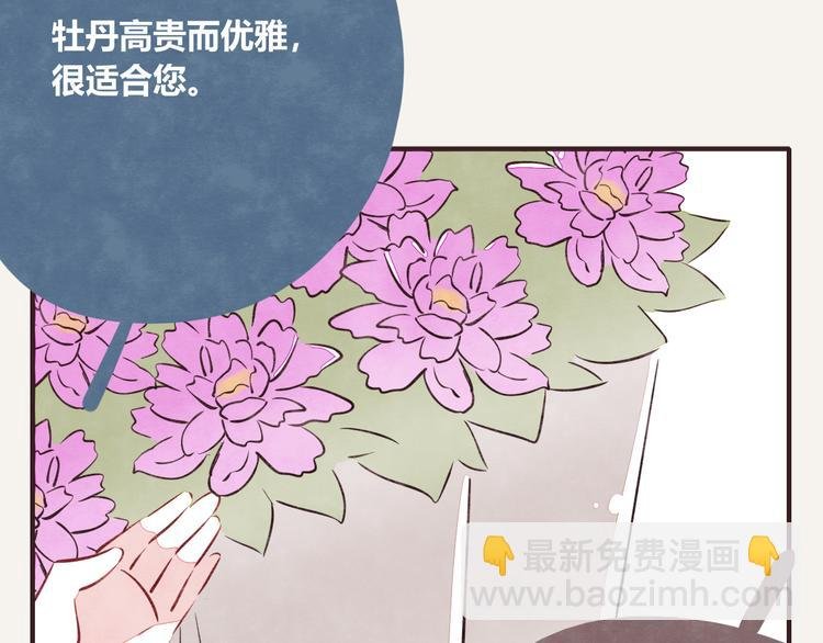 第0164话 多肉