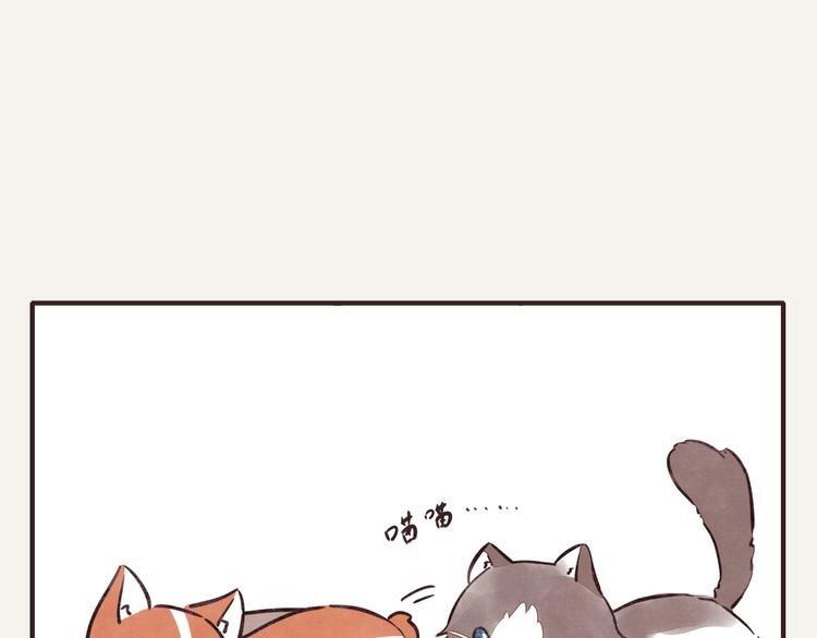 第0286话 亲兄妹2