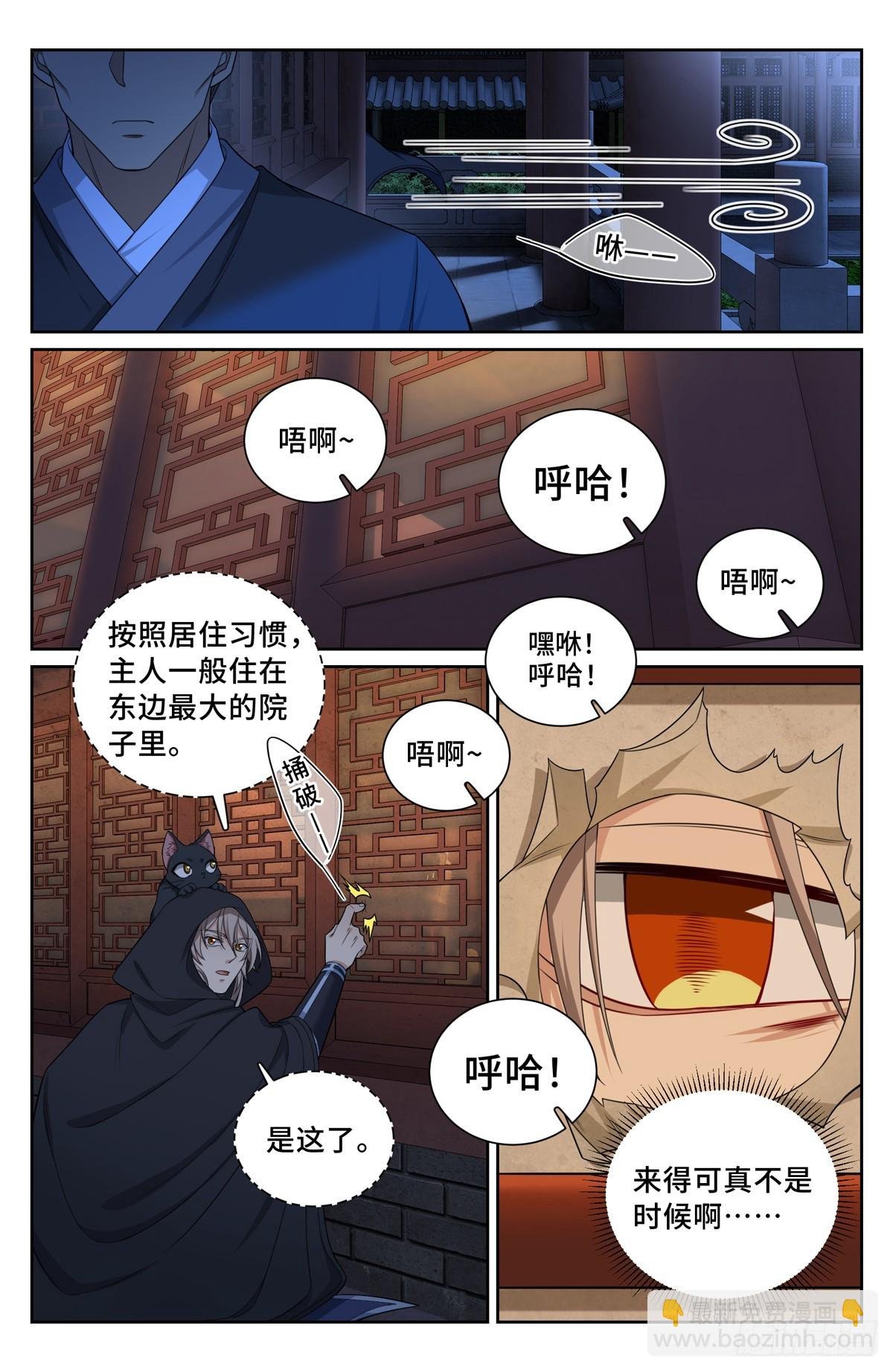 175黑猫道长