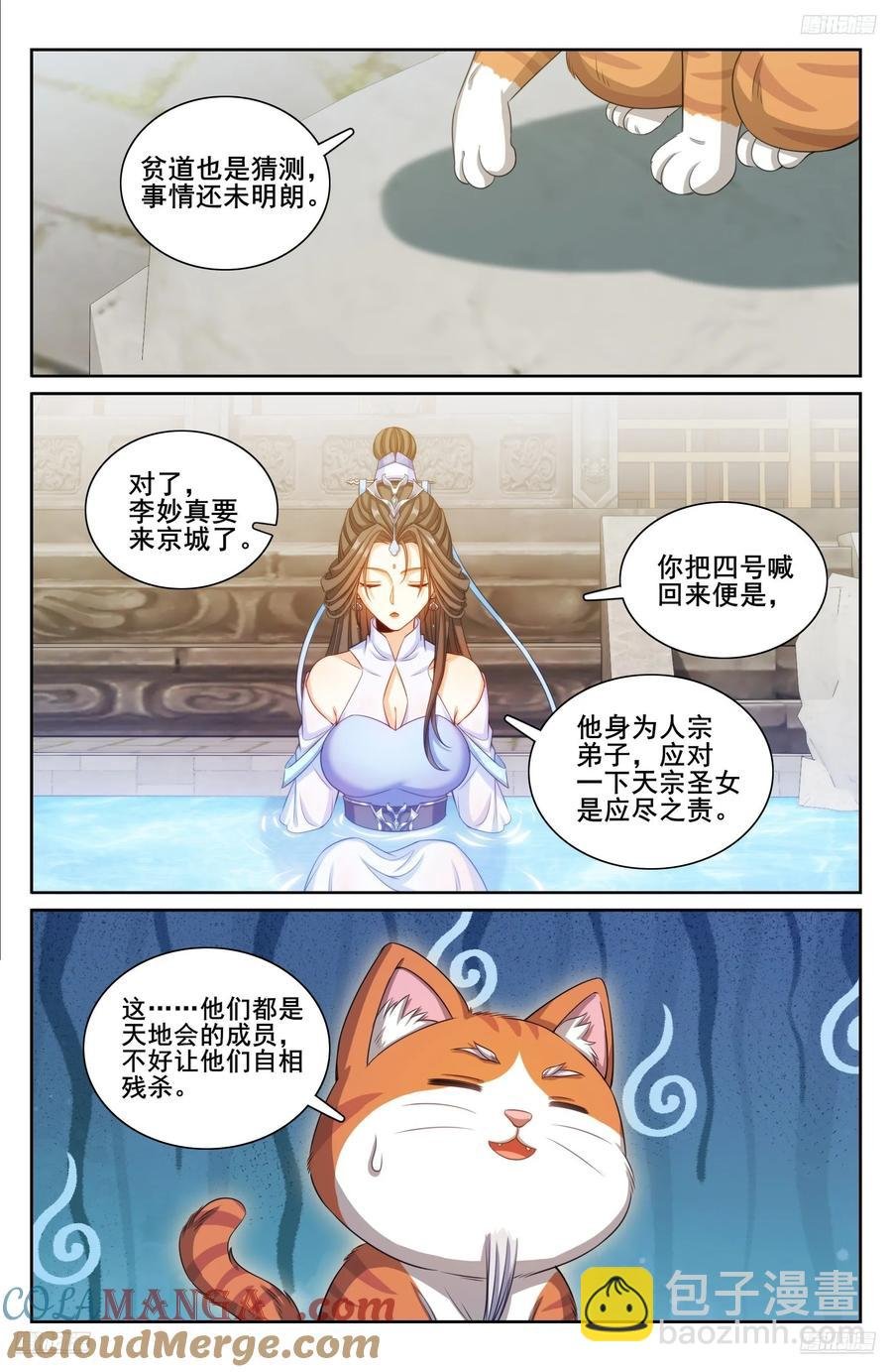 313查账