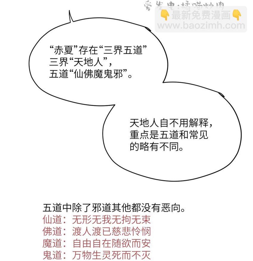 设定集 背景设定