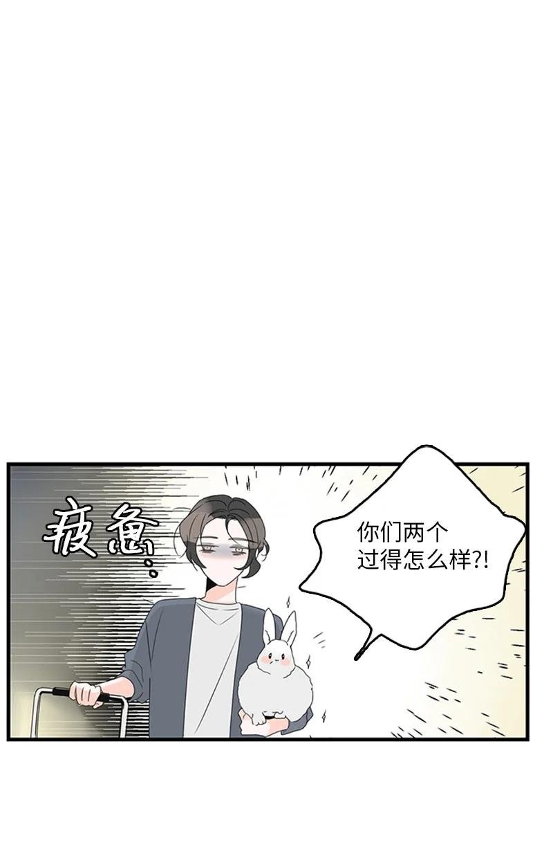 17 是因为那个伤疤吗？