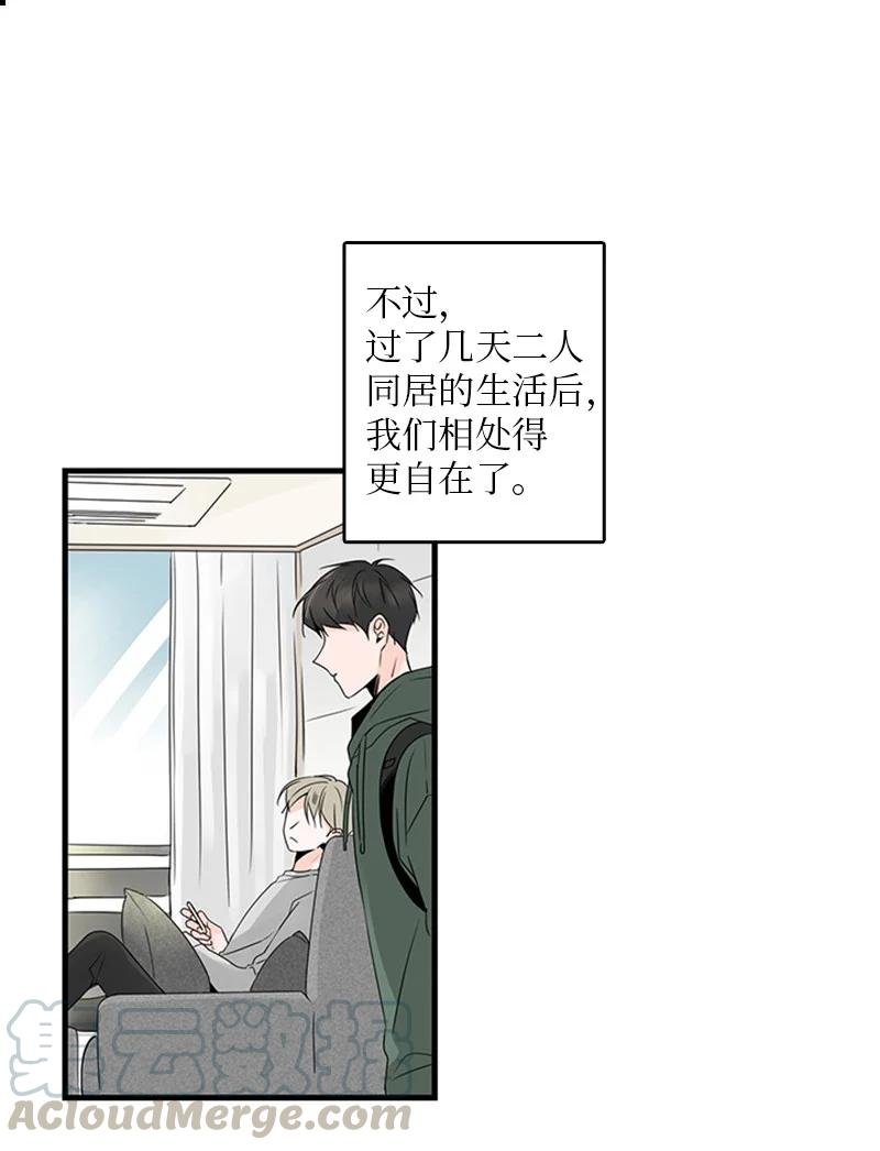 17 是因为那个伤疤吗？