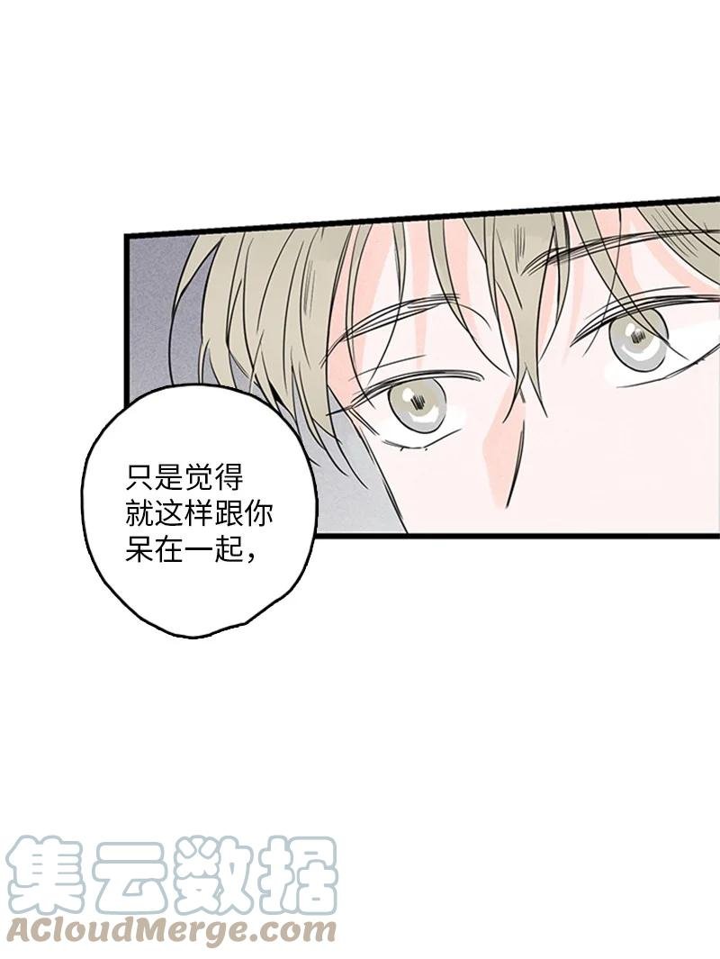 28 我本就不该有所奢求