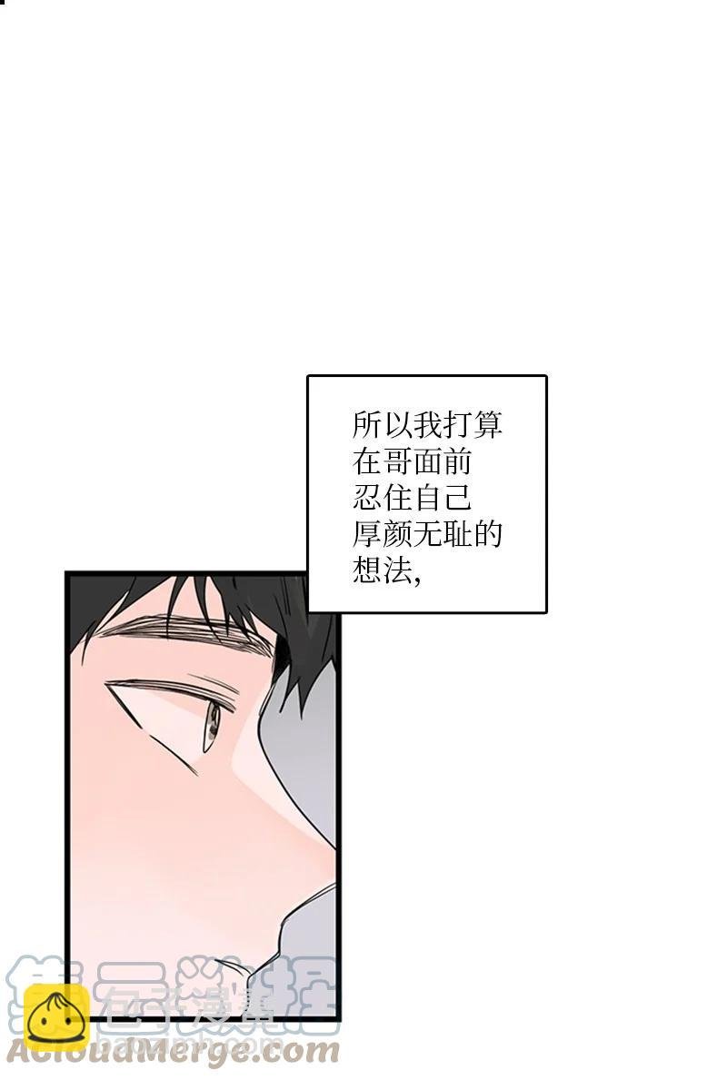 28 我本就不该有所奢求