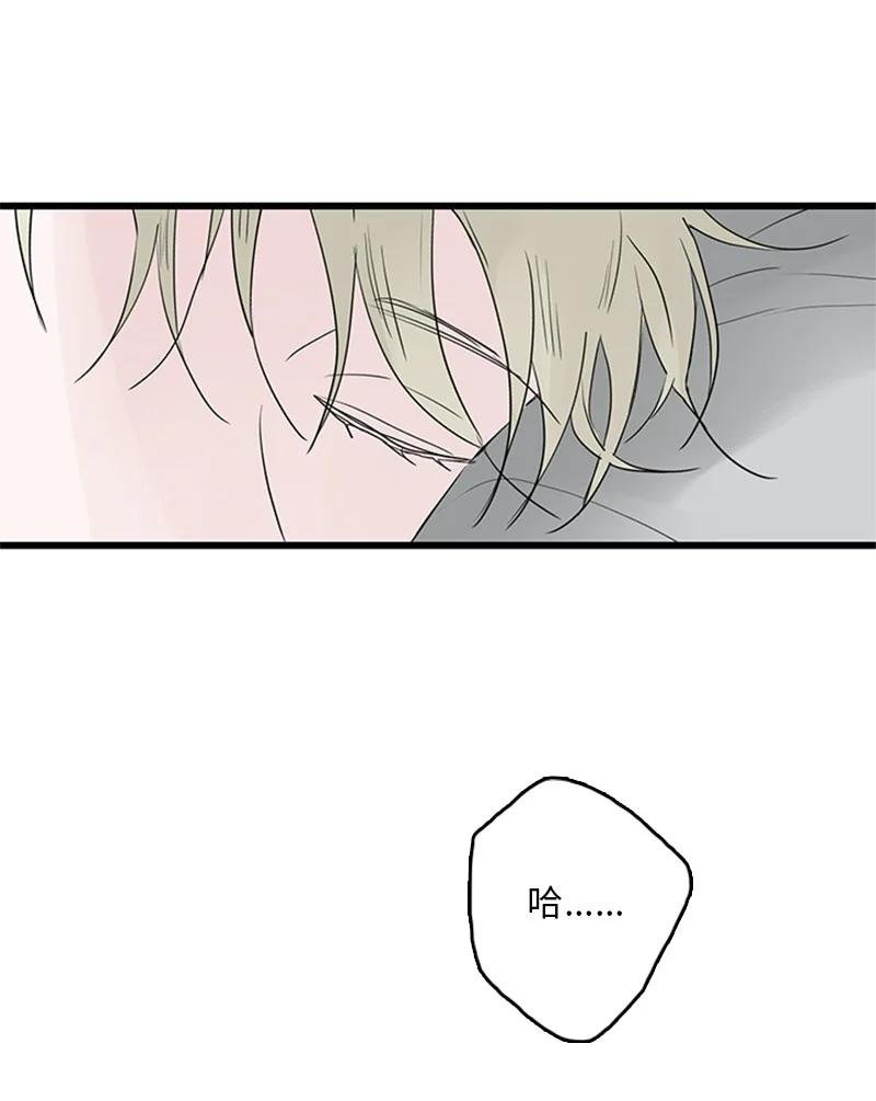 42 安慰