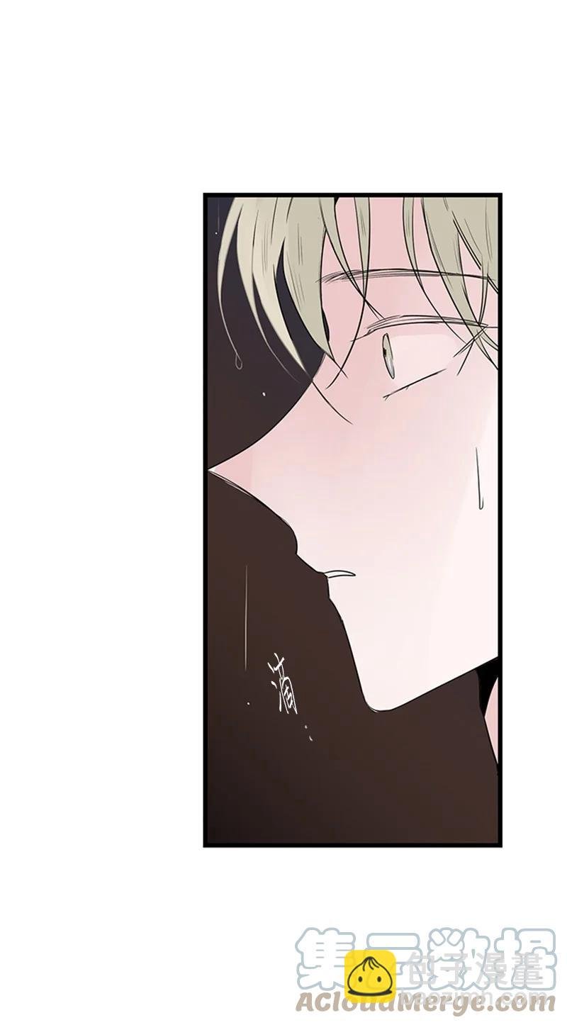 51 无法直视