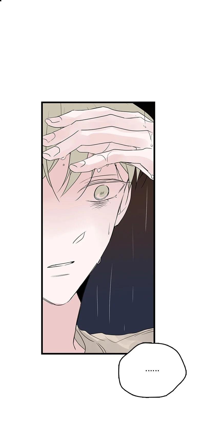 51 无法直视