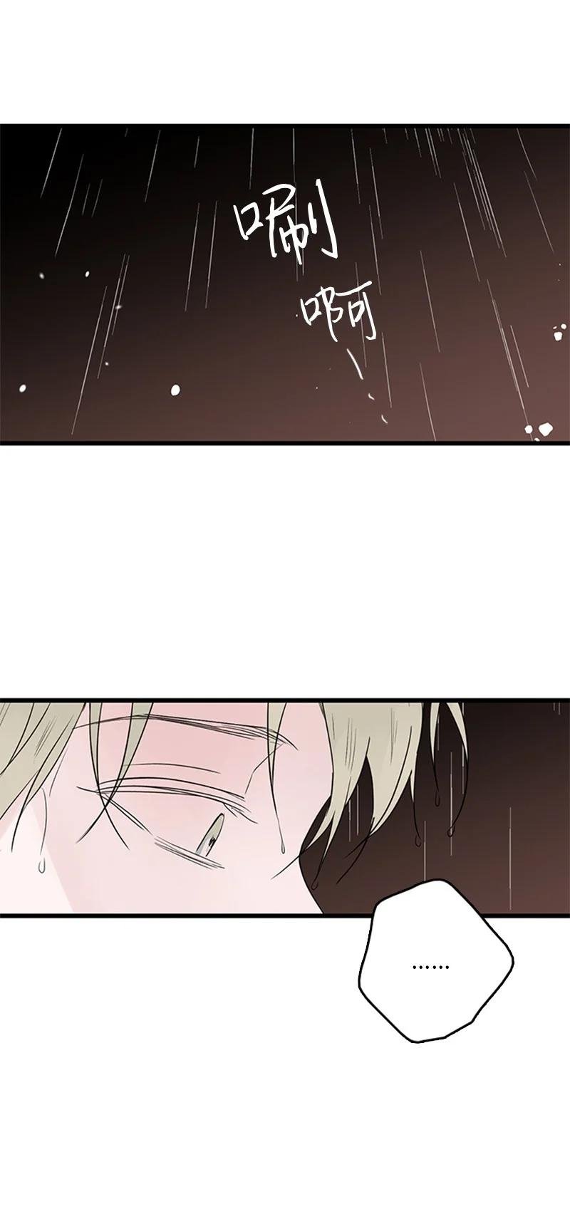 51 无法直视