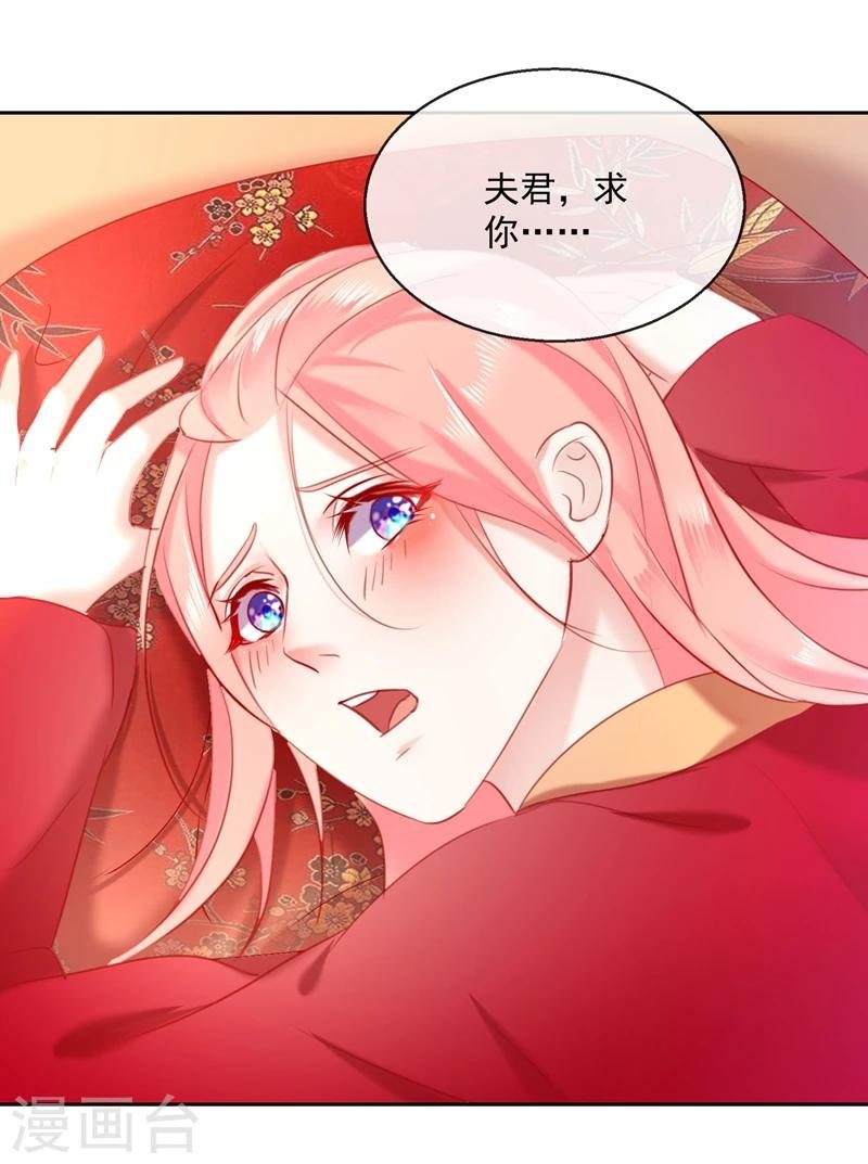 第53话 新婚之夜